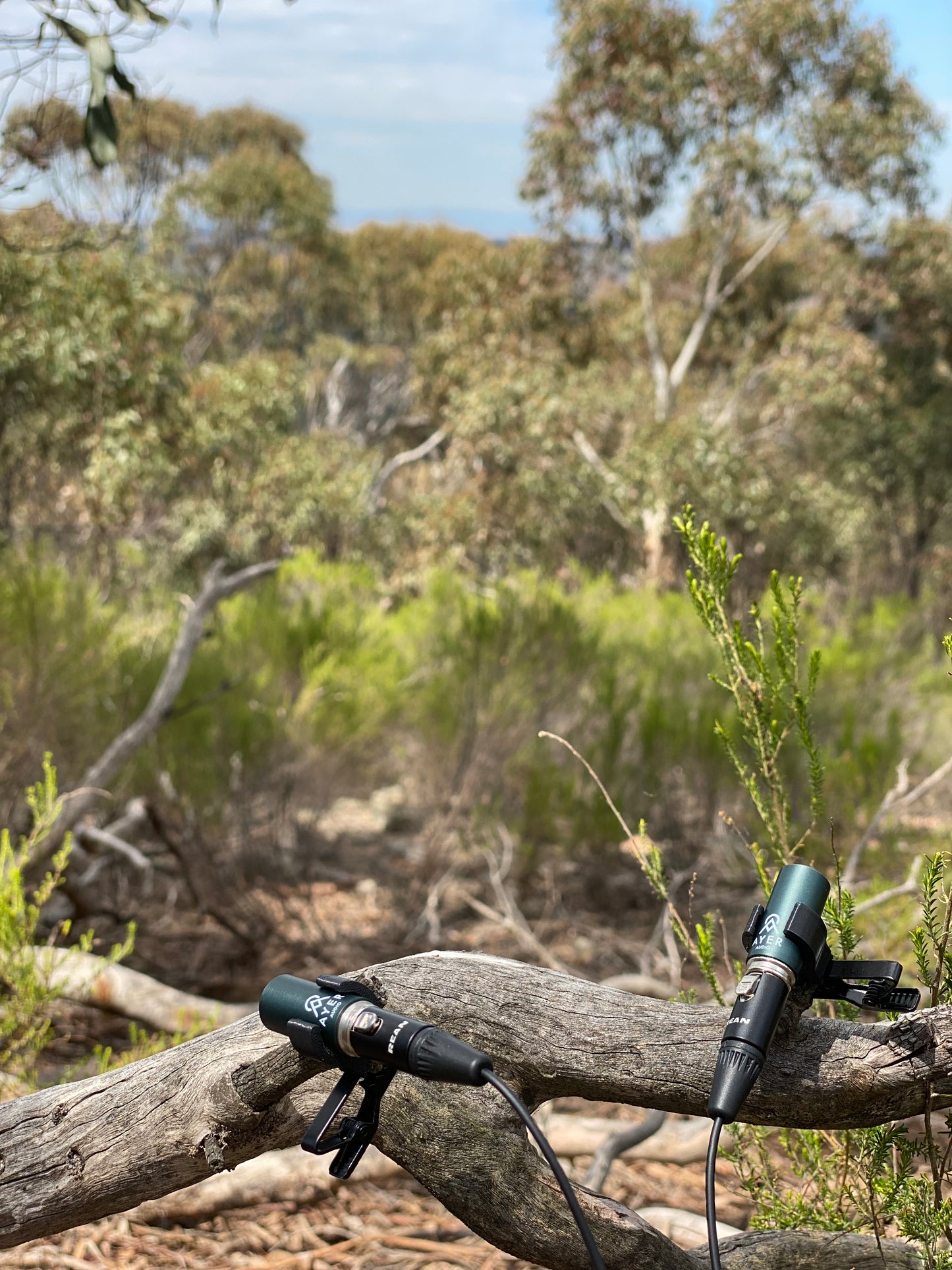 ES-1 Omni Microphone (Matched Stereo Pair)